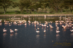 Fotografía realizada en Kenia, en el viaje fotográfico organizado por Emiliano Sánchez en Agosto de 2022