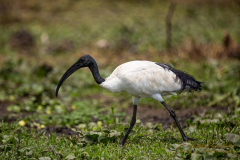 Fotografía realizada en Kenia, en el viaje fotográfico organizado por Emiliano Sánchez en Agosto de 2022