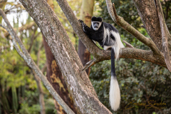 Fotografía realizada en Kenia, en el viaje fotográfico organizado por Emiliano Sánchez en Agosto de 2022