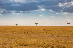 Fotografía realizada en Kenia, en el viaje fotográfico organizado por Emiliano Sánchez en Agosto de 2022