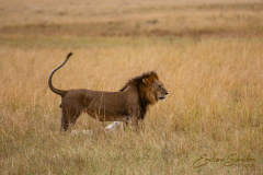 Fotografía realizada en Kenia, en el viaje fotográfico organizado por Emiliano Sánchez en Agosto de 2022