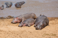 Fotografía realizada en Kenia, en el viaje fotográfico organizado por Emiliano Sánchez en Agosto de 2022