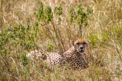 Fotografía realizada en Kenia, en el viaje fotográfico organizado por Emiliano Sánchez en Agosto de 2022