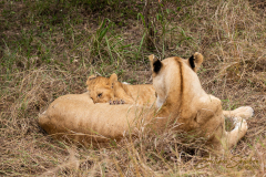 Fotografía realizada en Kenia, en el viaje fotográfico organizado por Emiliano Sánchez en Agosto de 2022