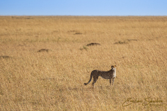 Fotografía realizada en Kenia, en el viaje fotográfico organizado por Emiliano Sánchez en Agosto de 2022