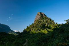Montaña y bosque.