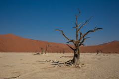 Deadvlei