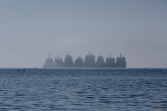 Barcos.