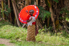 Parasol